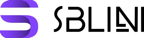 sblini|Web Development – SBLINI Agency Development & Designs for .